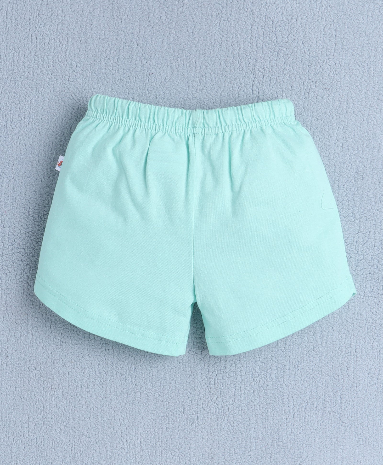 BUMZEE Mint Green Girls Half Sleeves T-Shirt & Short Set
