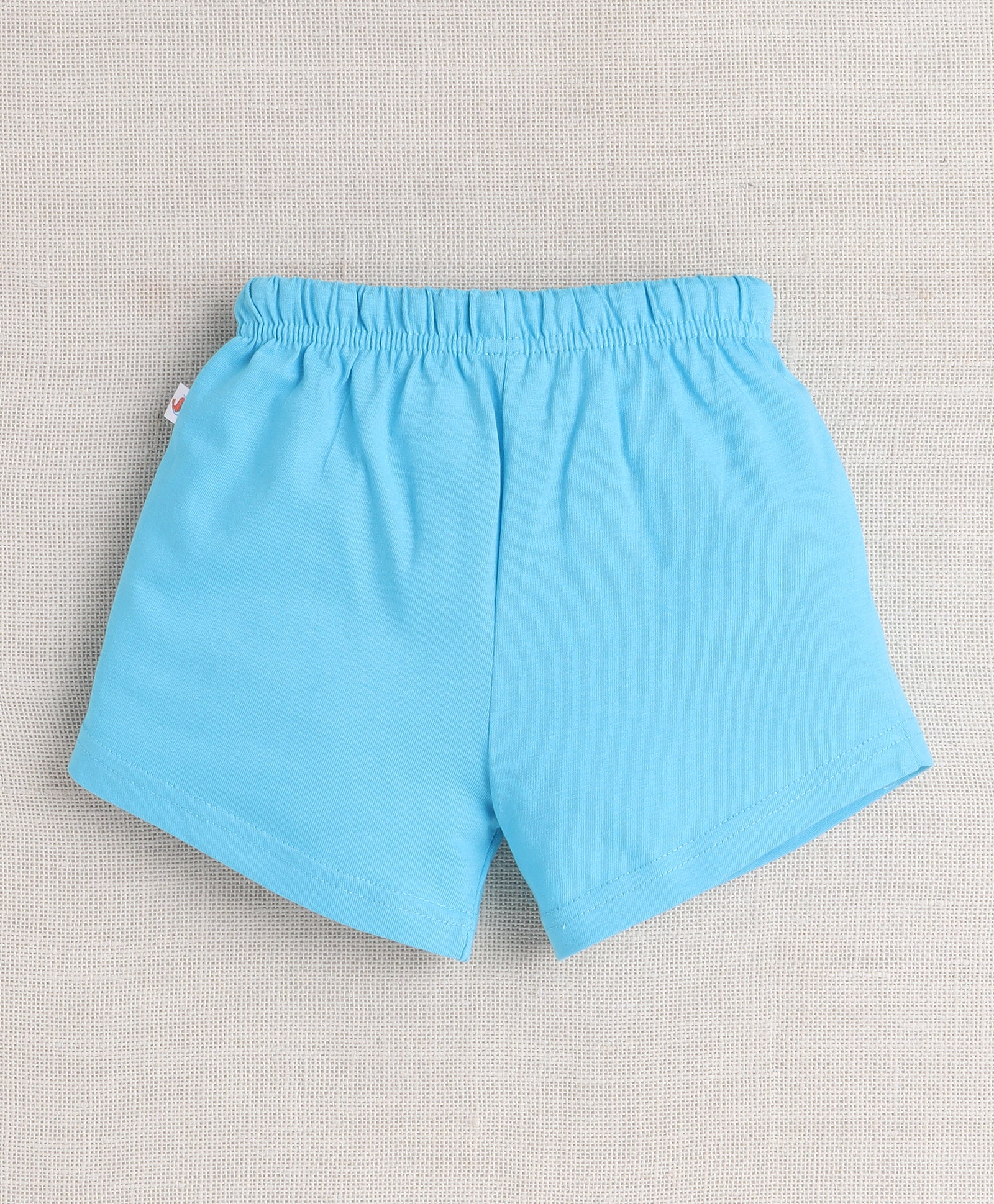 BUMZEE Multi & Blue Girls Half Sleeves T-Shirt & Short Set