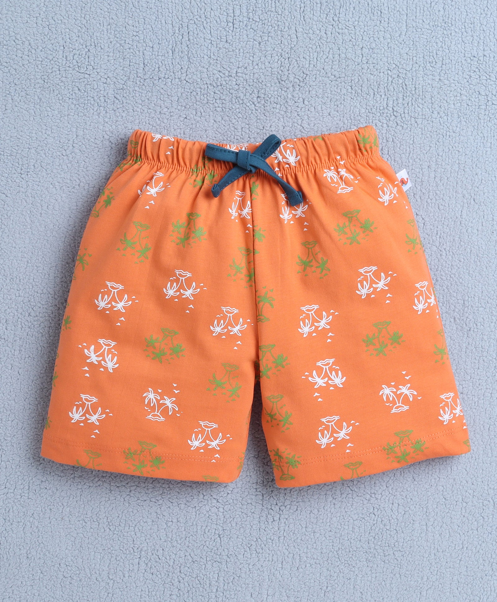 BUMZEE Teal & Orange Boys Sleeveless T-Shirt & Short Set