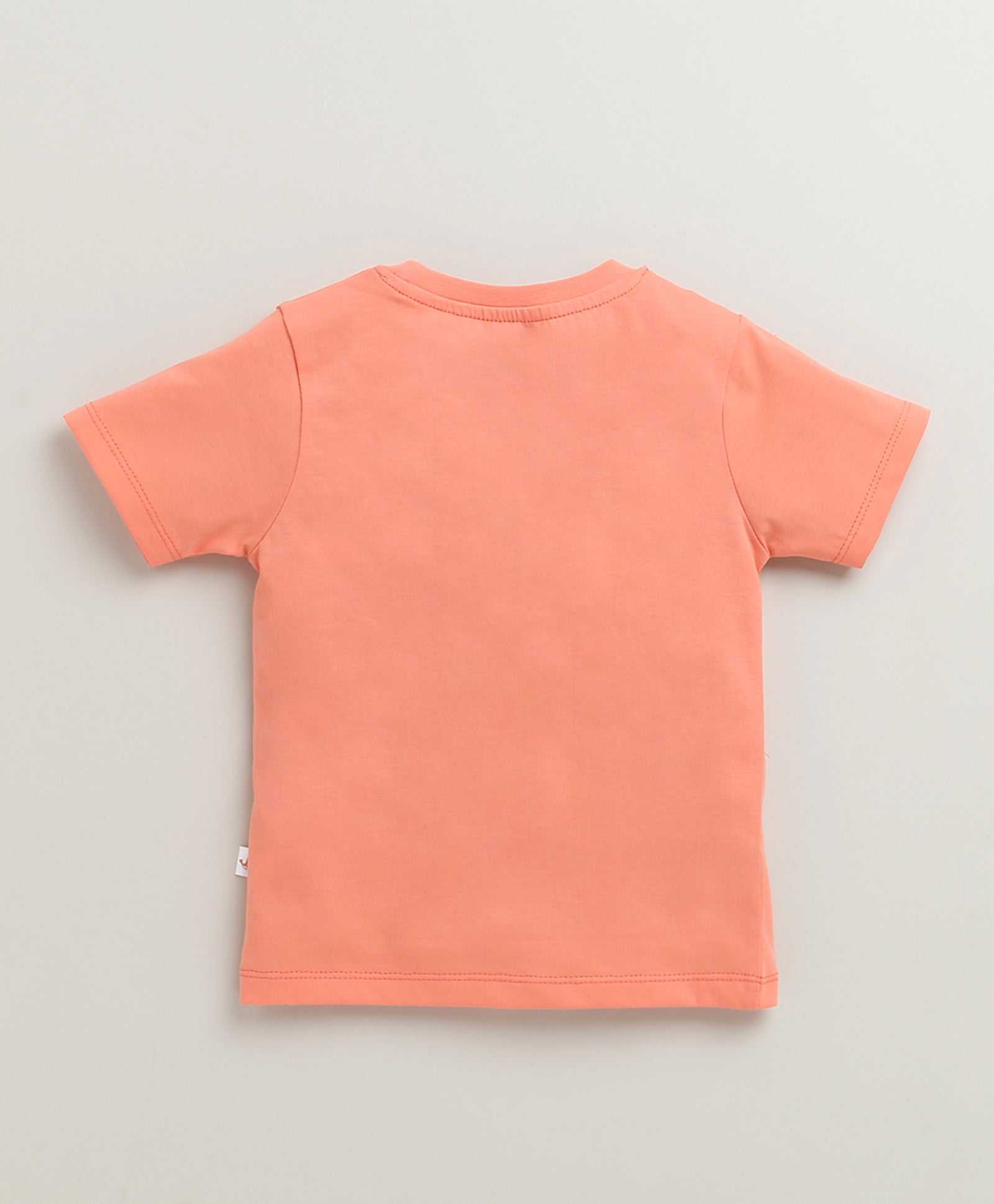 BUMZEE Coral & Mint Green Boys Half Sleeves Cotton T-Shirts Pack Of 2