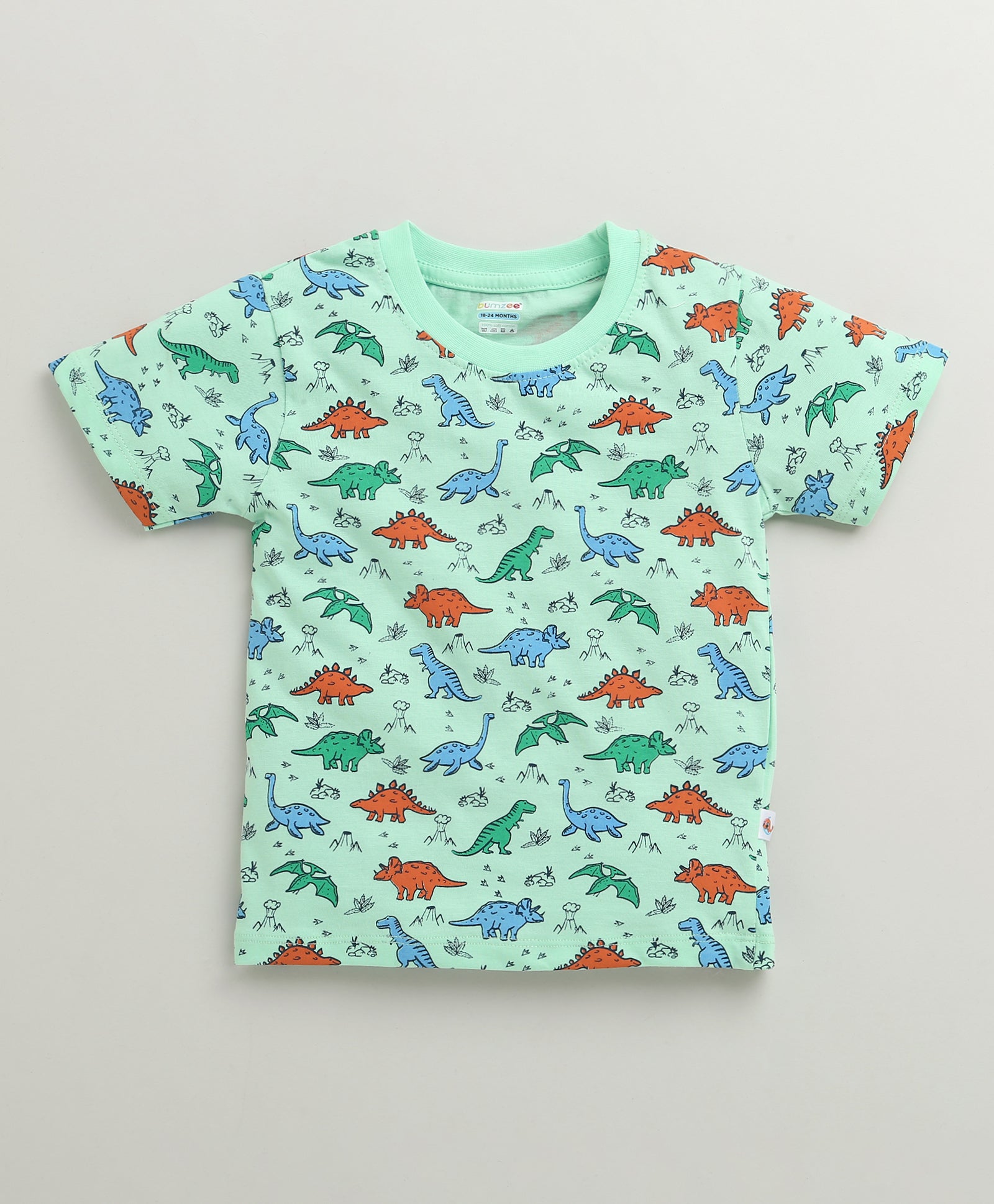 BUMZEE Coral & Mint Green Boys Half Sleeves Cotton T-Shirts Pack Of 2