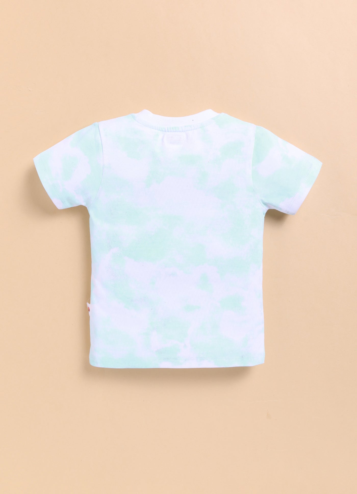 BUMZEE Aqua Blue Boys Half Sleeves T-Shirt & Short Set