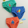 Boys 100% Cotton Solid Briefs - Orange & Green