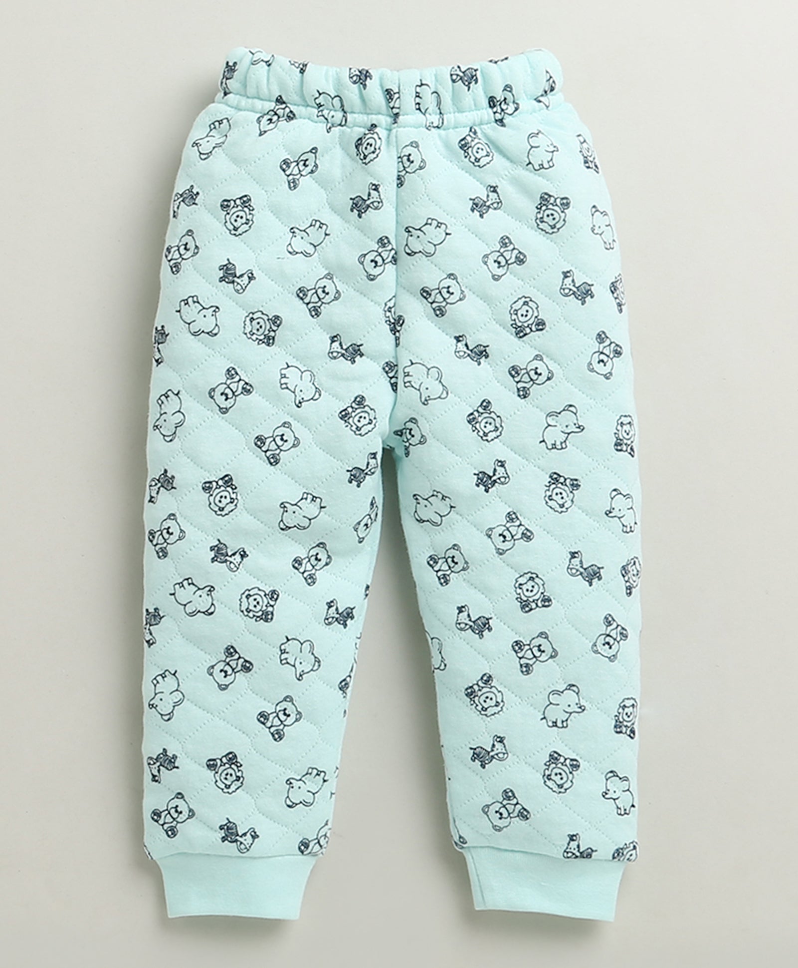 Boys Polyfill Animal Winter Set - Mint Green