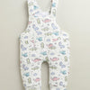 White & Green Boys Full Sleeves Poly Blend Dungaree Set / Romper