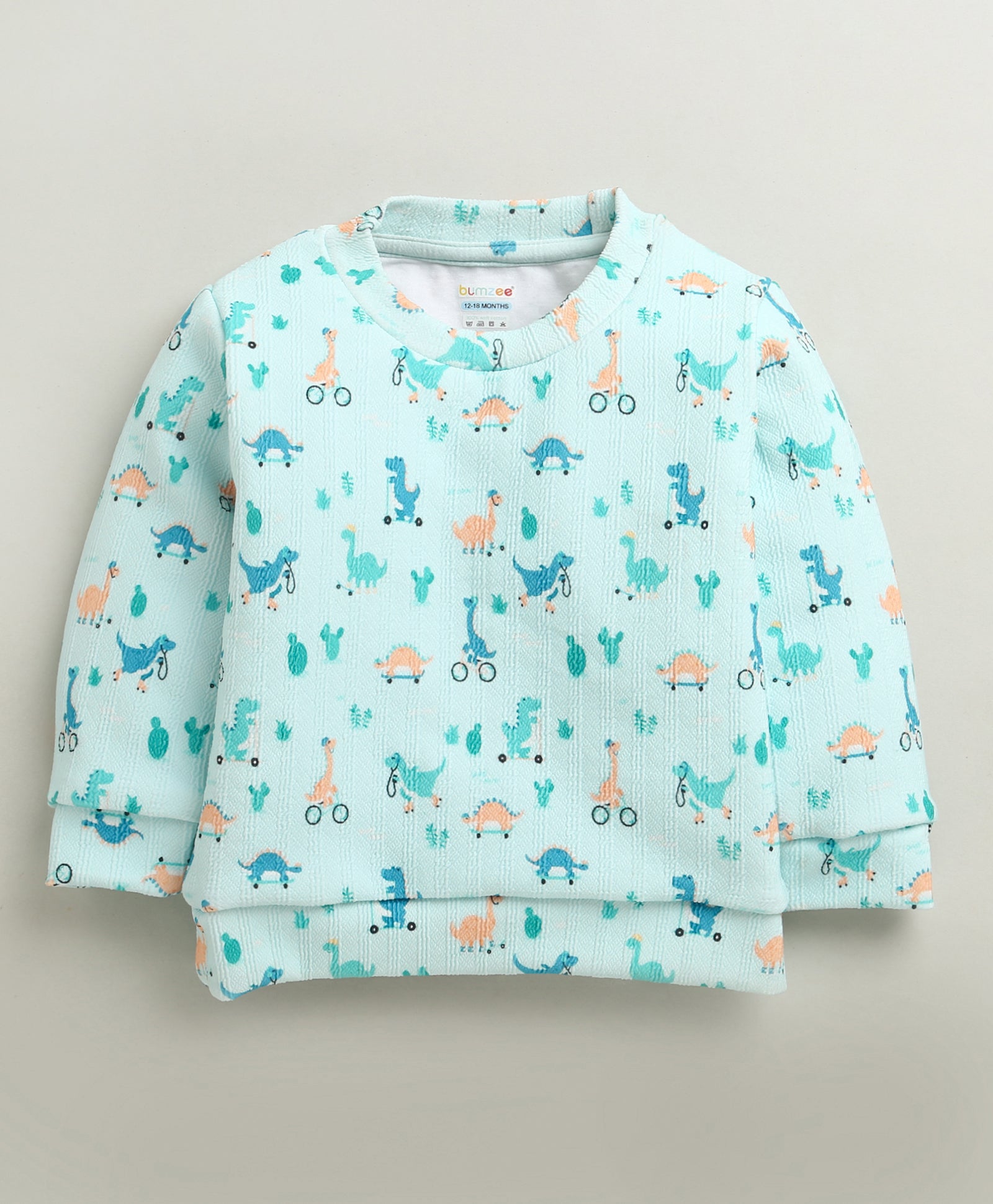 Mint Green Boys Full Sleeves Poly Blend Winter Wear Set