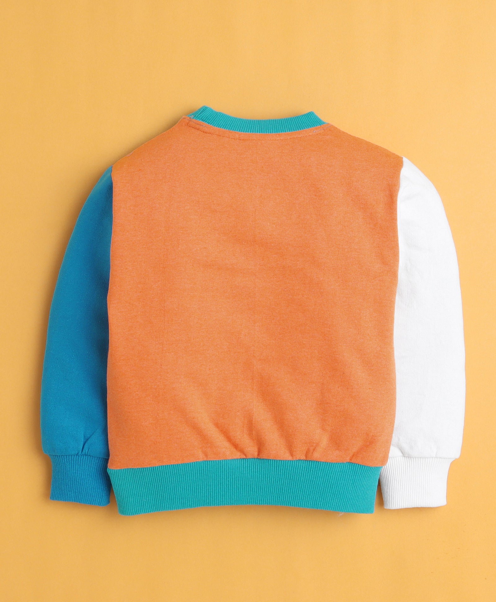 Multi Boys Full Sleeves Cotton Sweatshirt