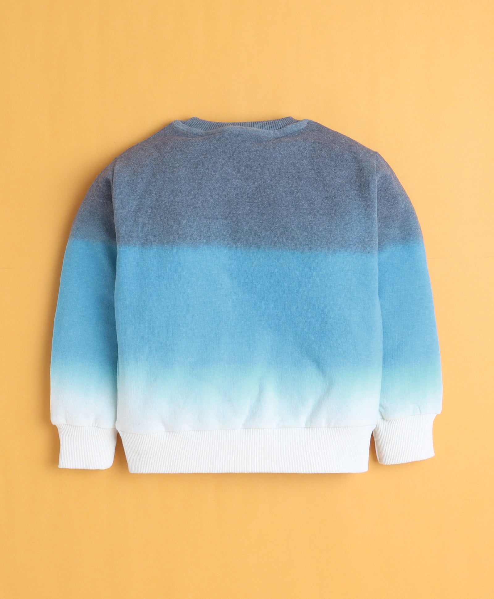 Multi Boys Full Sleeves Cotton Sweatshirt