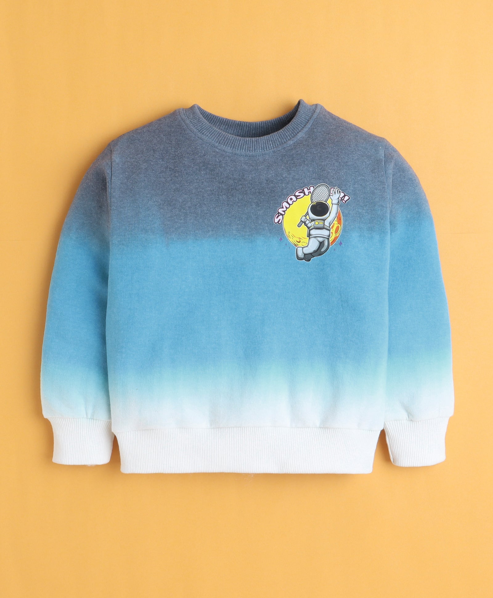 Multi Boys Full Sleeves Cotton Sweatshirt