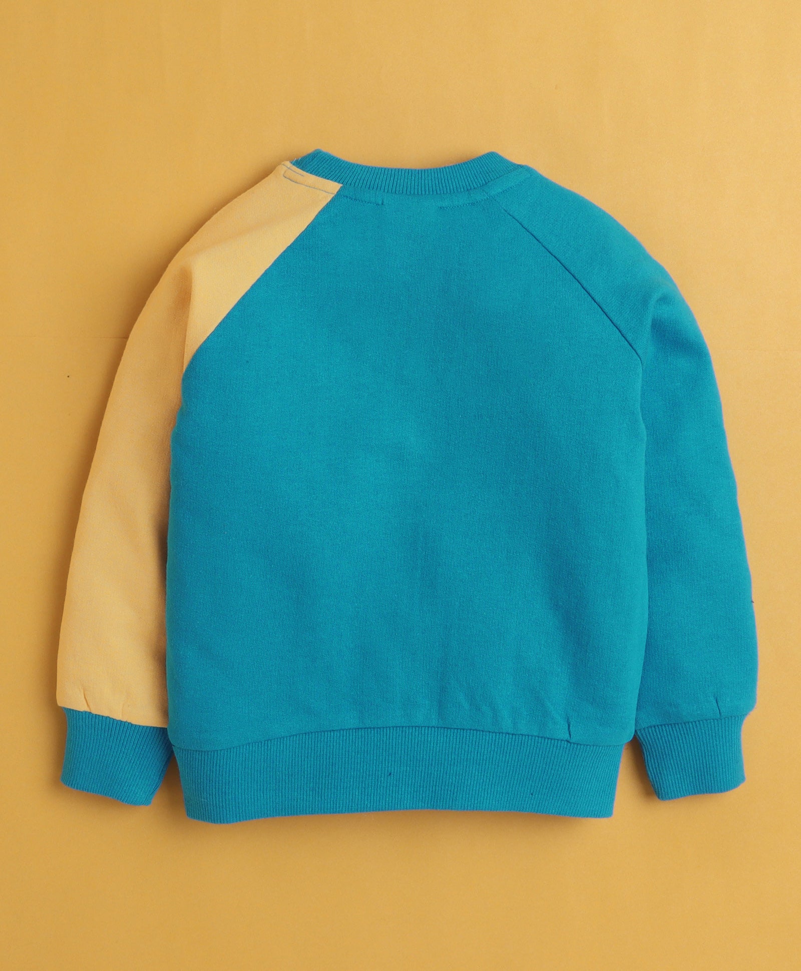 Multi Boys Full Sleeves Cotton Sweatshirt