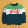 Multi Boys Full Sleeves Cotton Sweatshirt