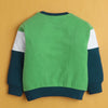 Multi Boys Full Sleeves Cotton Sweatshirt