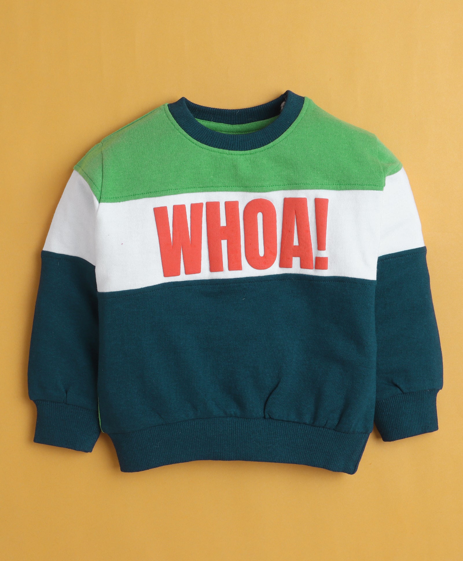 Multi Boys Full Sleeves Cotton Sweatshirt