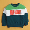 Multi Boys Full Sleeves Cotton Sweatshirt
