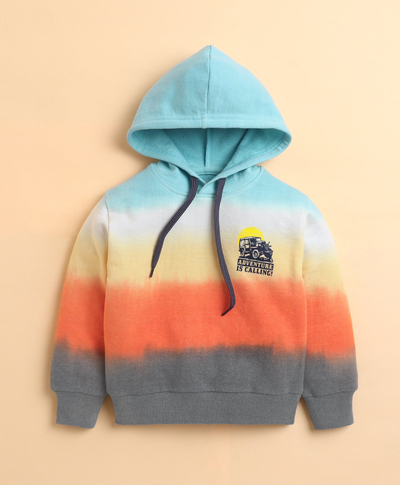 Multi Boys Full Sleeves Cotton Hooded Sweatshirt