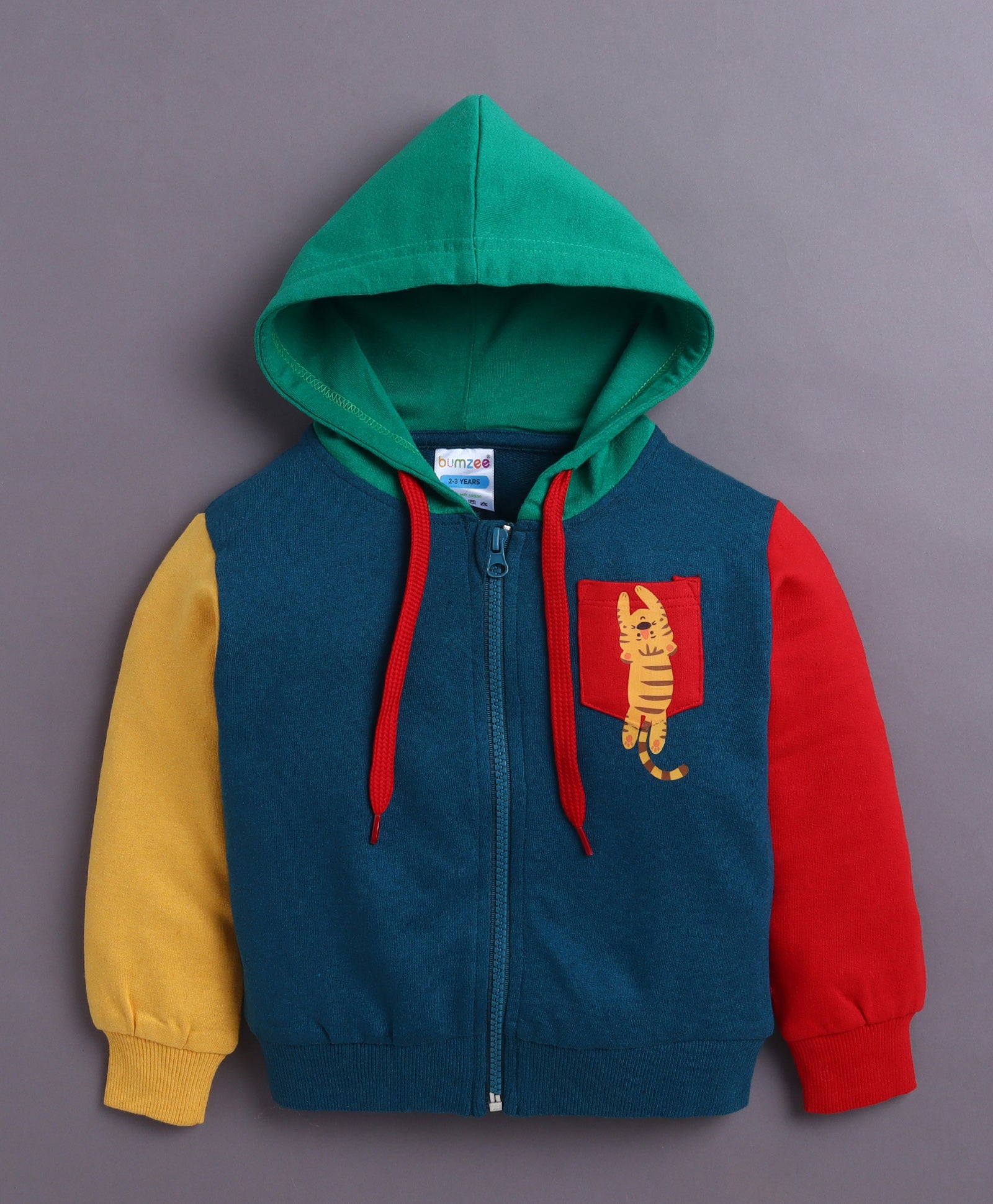 Blue Boys Full Sleeves Cotton Hooded Zipper Sweatshirt