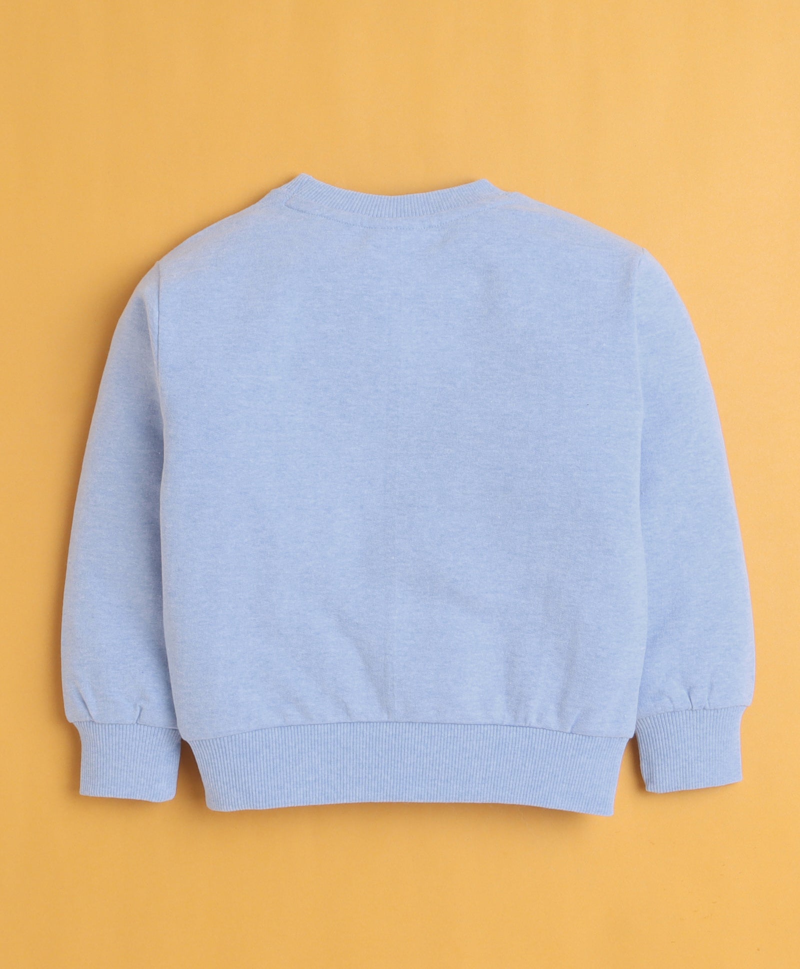 Sky Blue Girls Full Sleeves Cotton Sweatshirt