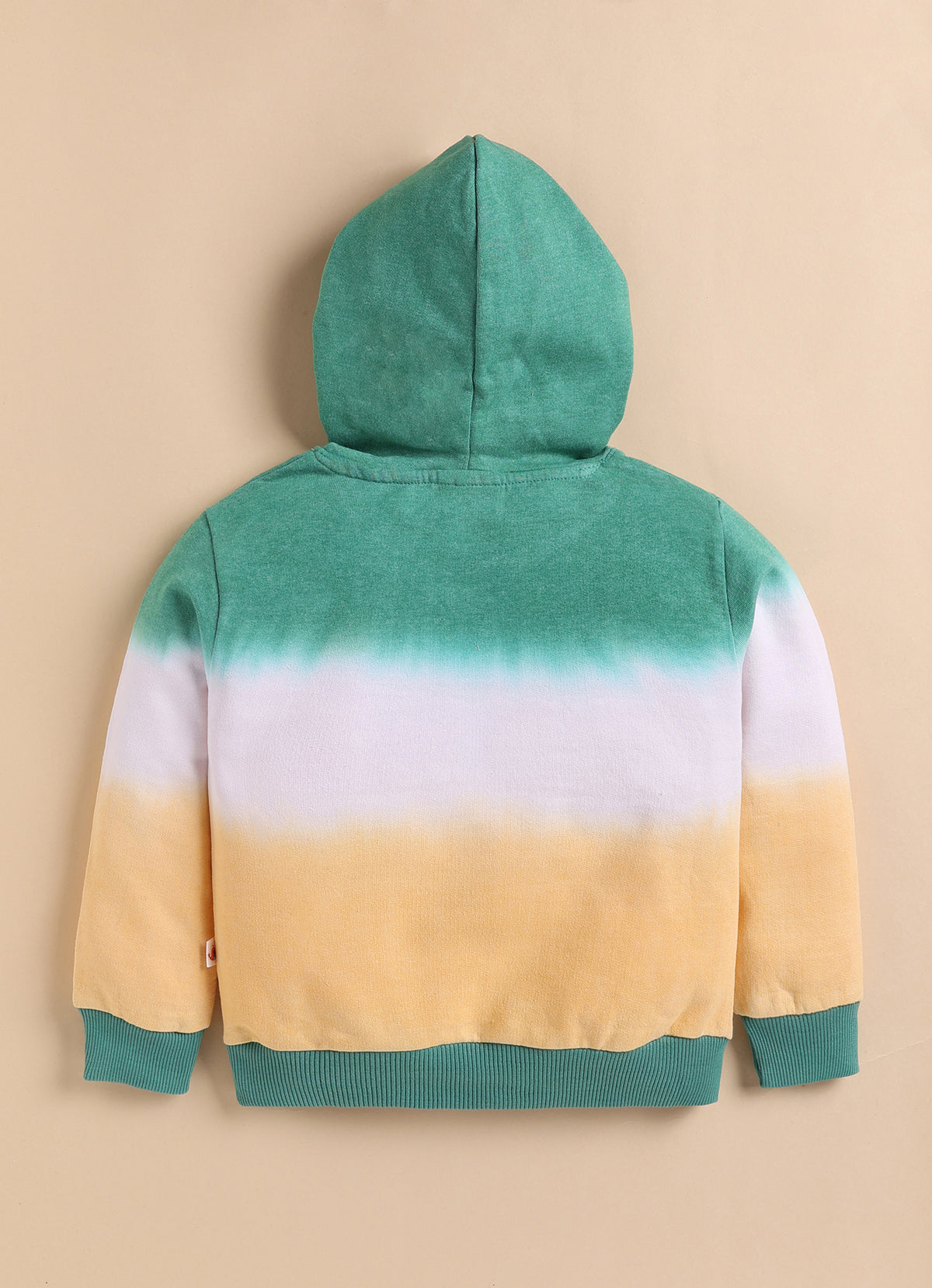 Bumzee Multi Colourblock Sweatshirt, Full Sleeves, Cotton Blend, Hooded (Style Peb10878N)