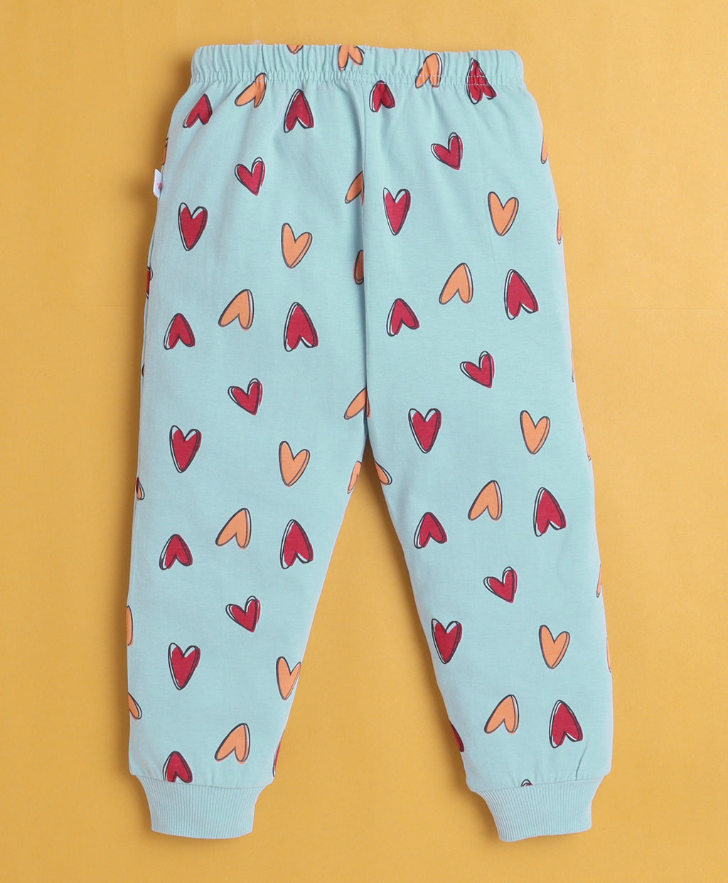 Bumzee Sky Blue Graphic Print T-Shirt & Pyjama Set, Full Sleeves, 100% Cotton (Style Peb10885)