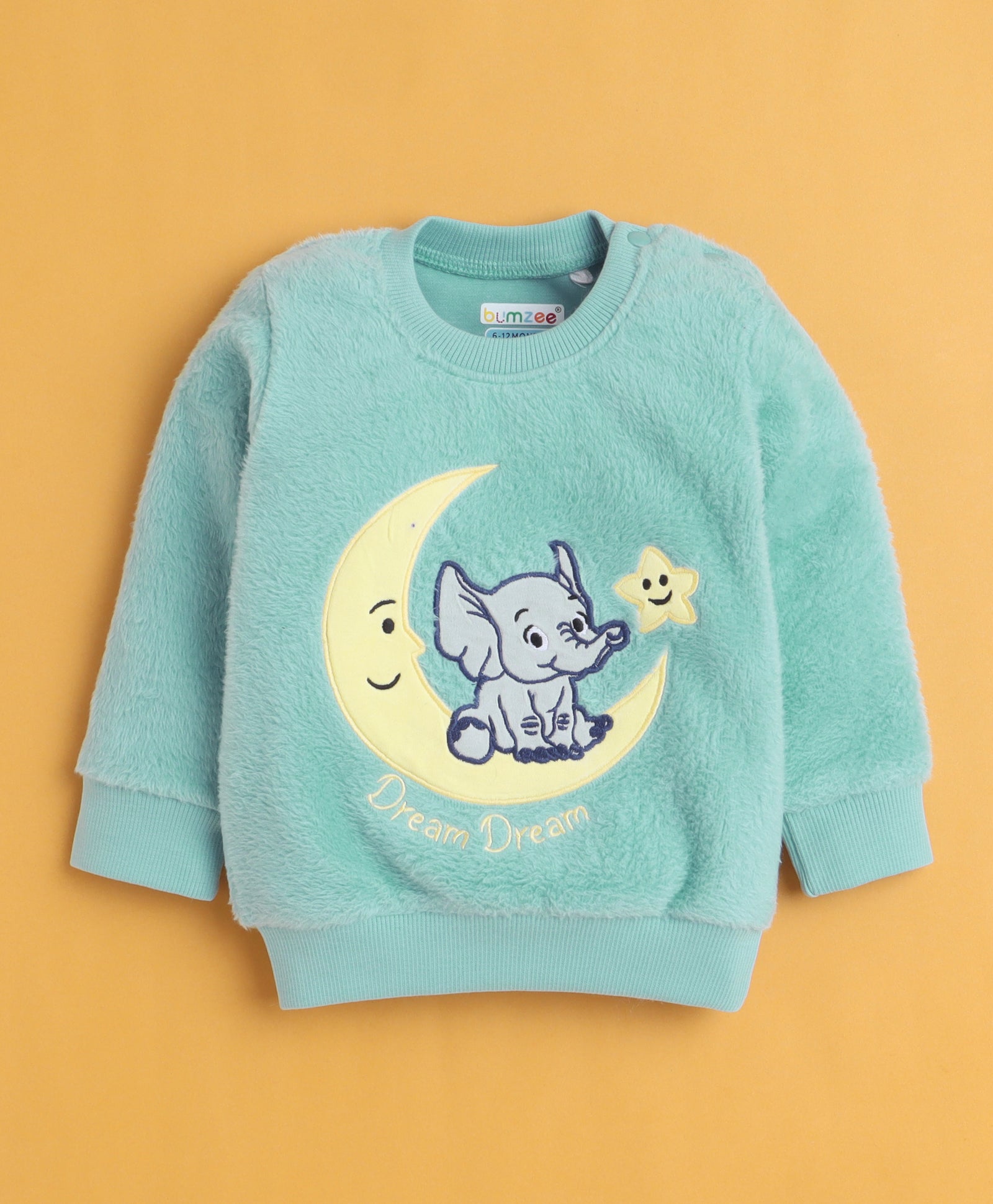Sea Green & Blue Boys Full Sleeves Sweatshirt & Jogger Set