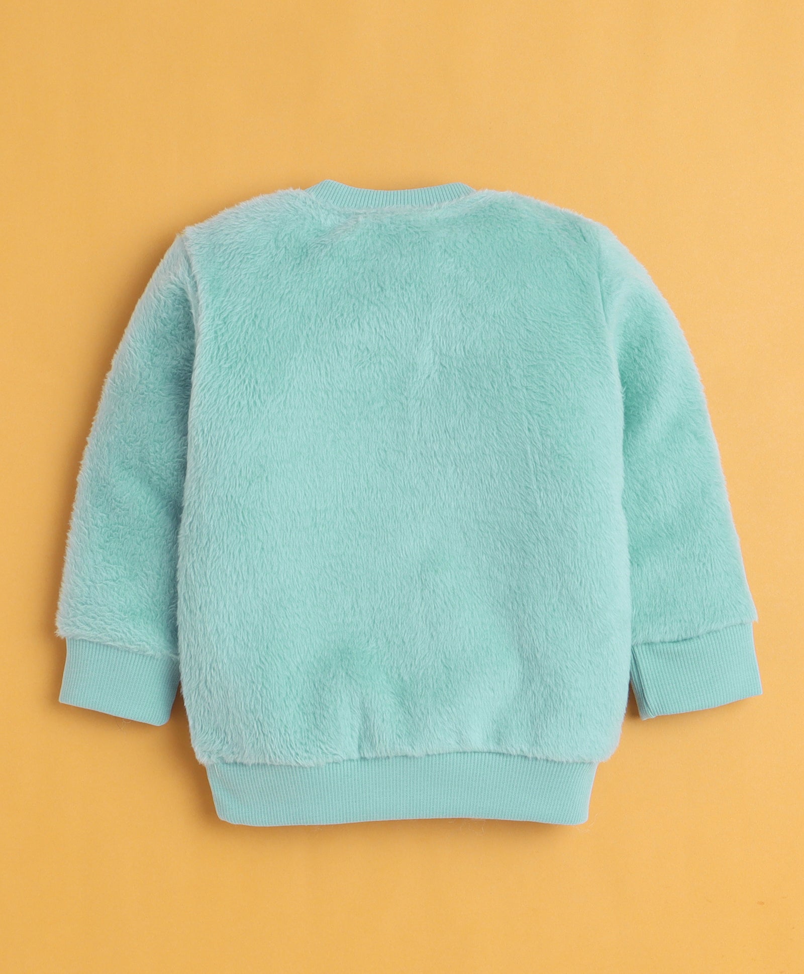 Sea Green & Blue Boys Full Sleeves Sweatshirt & Jogger Set