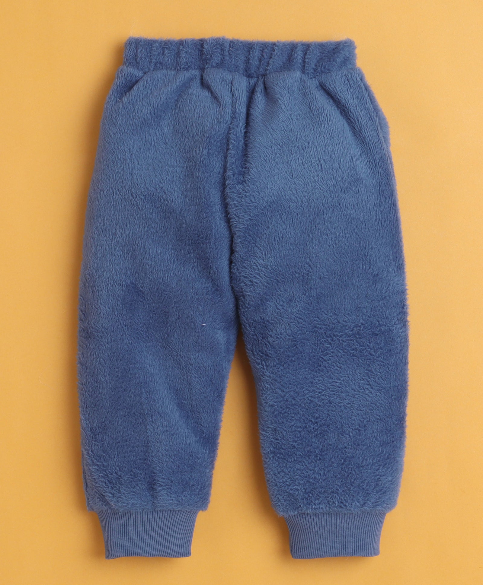 Sea Green & Blue Boys Full Sleeves Sweatshirt & Jogger Set