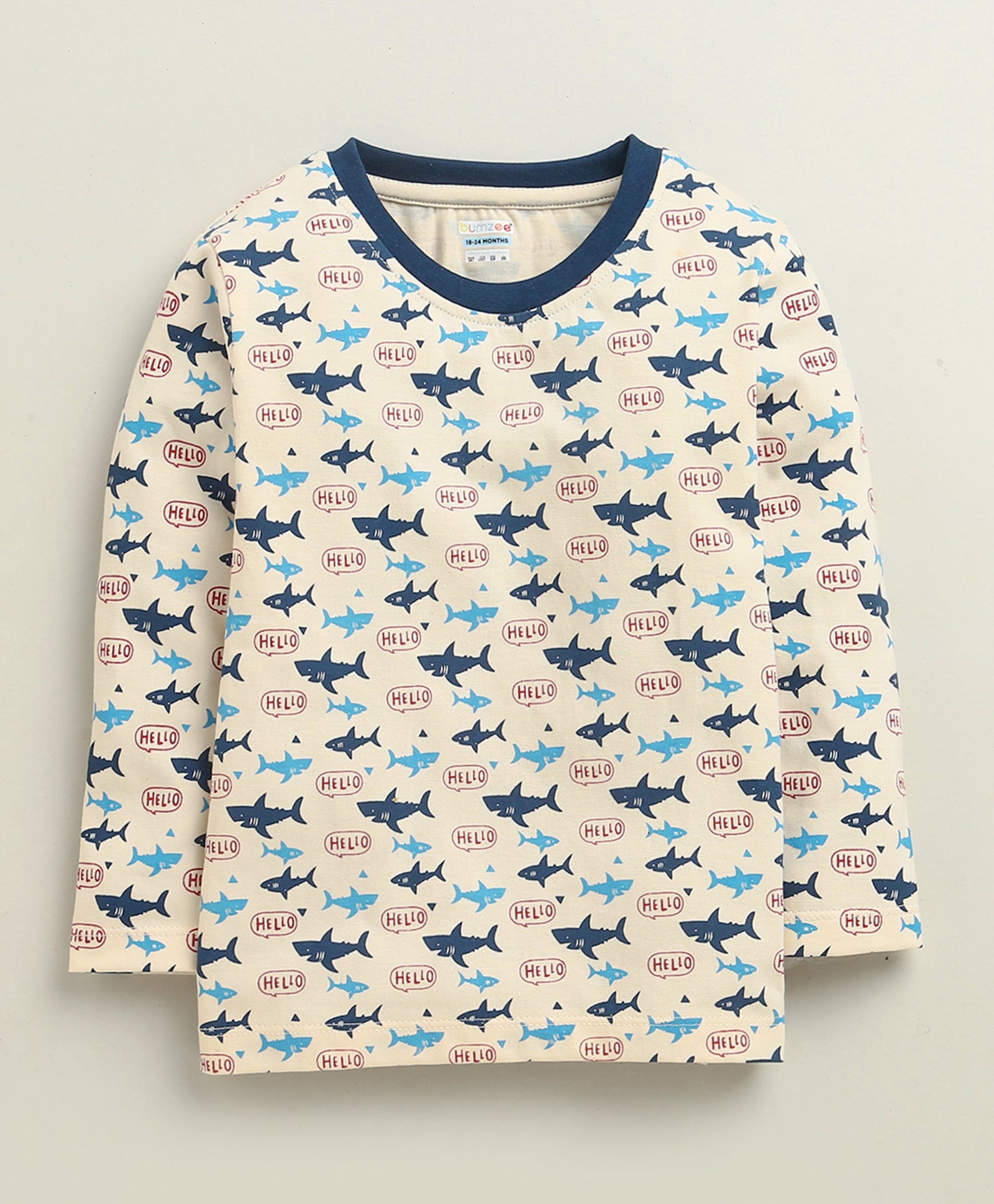 BUMZEE Beige & Teal Boys Full Sleeves Cotton T-Shirts Pack Of 2