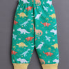 Green Baby Boys Full Sleeves Jabla & Pyjama Set