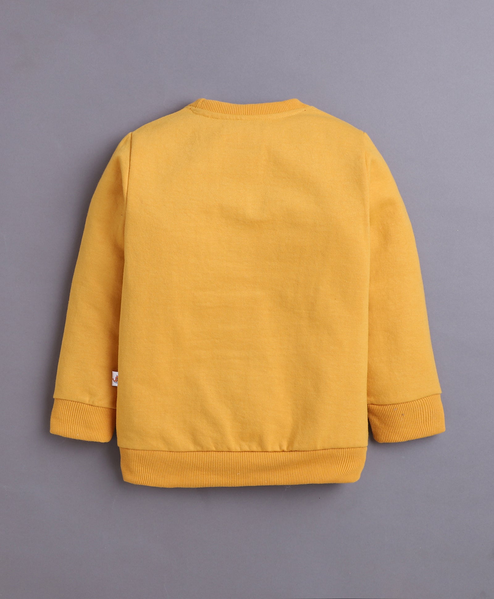 Mustard & Brown Boys Full Sleeves Sweatshirt & Jogger Set