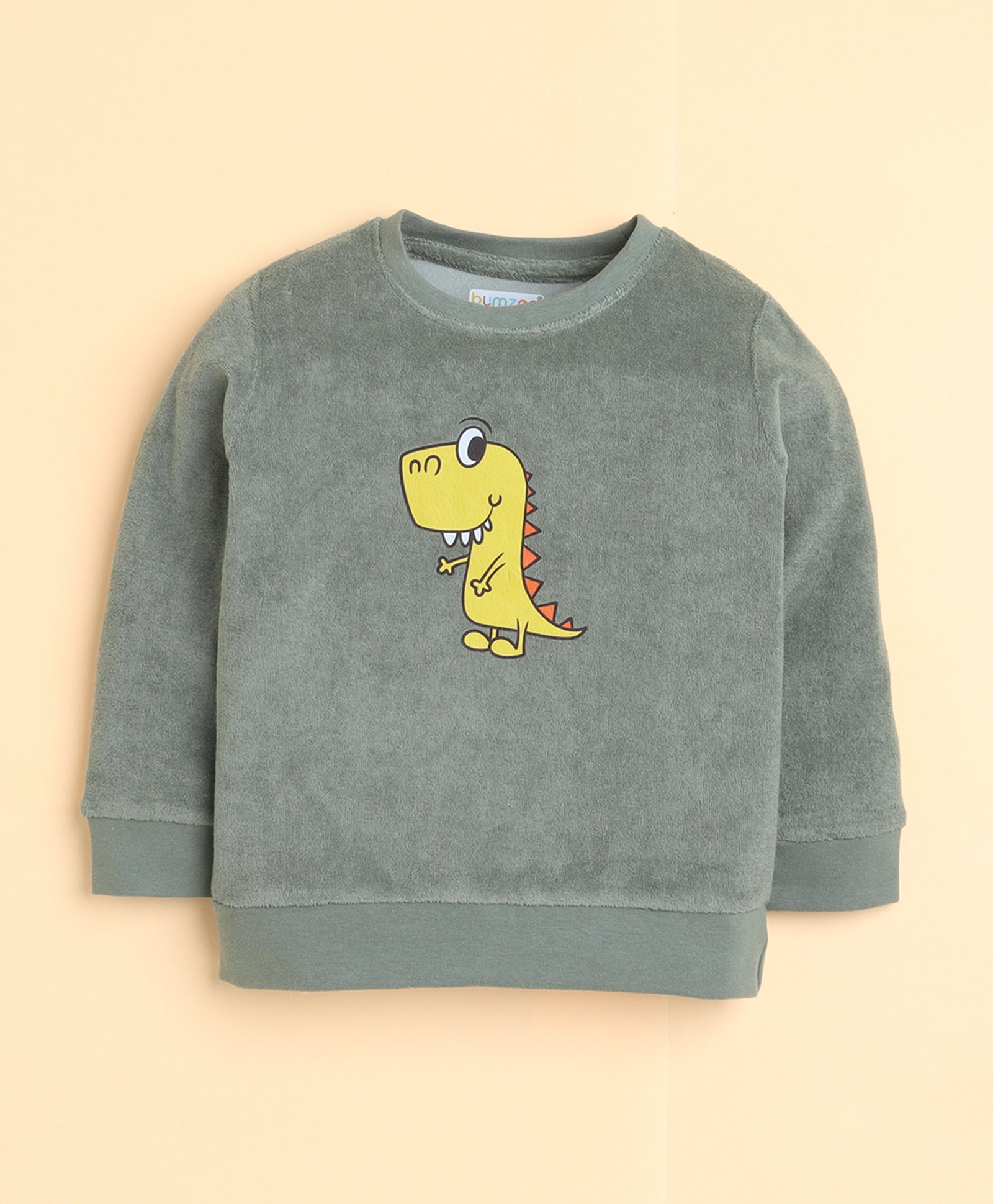 Green Boys Full Sleeves Sweatshirt & Jogger Set