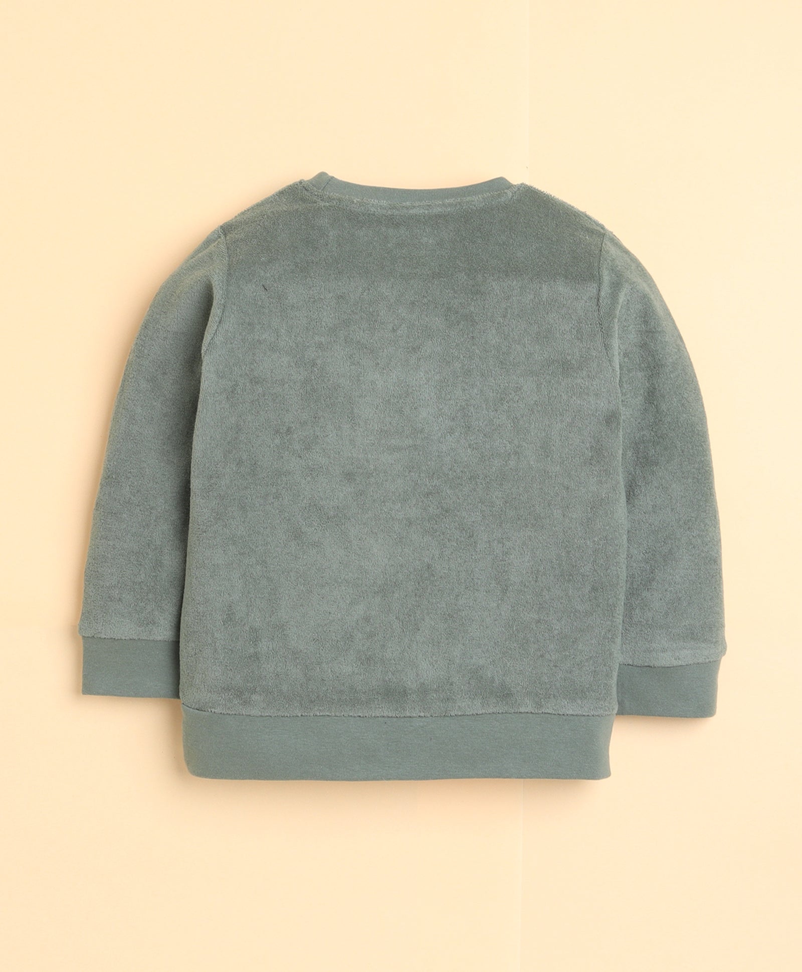 Green Boys Full Sleeves Sweatshirt & Jogger Set