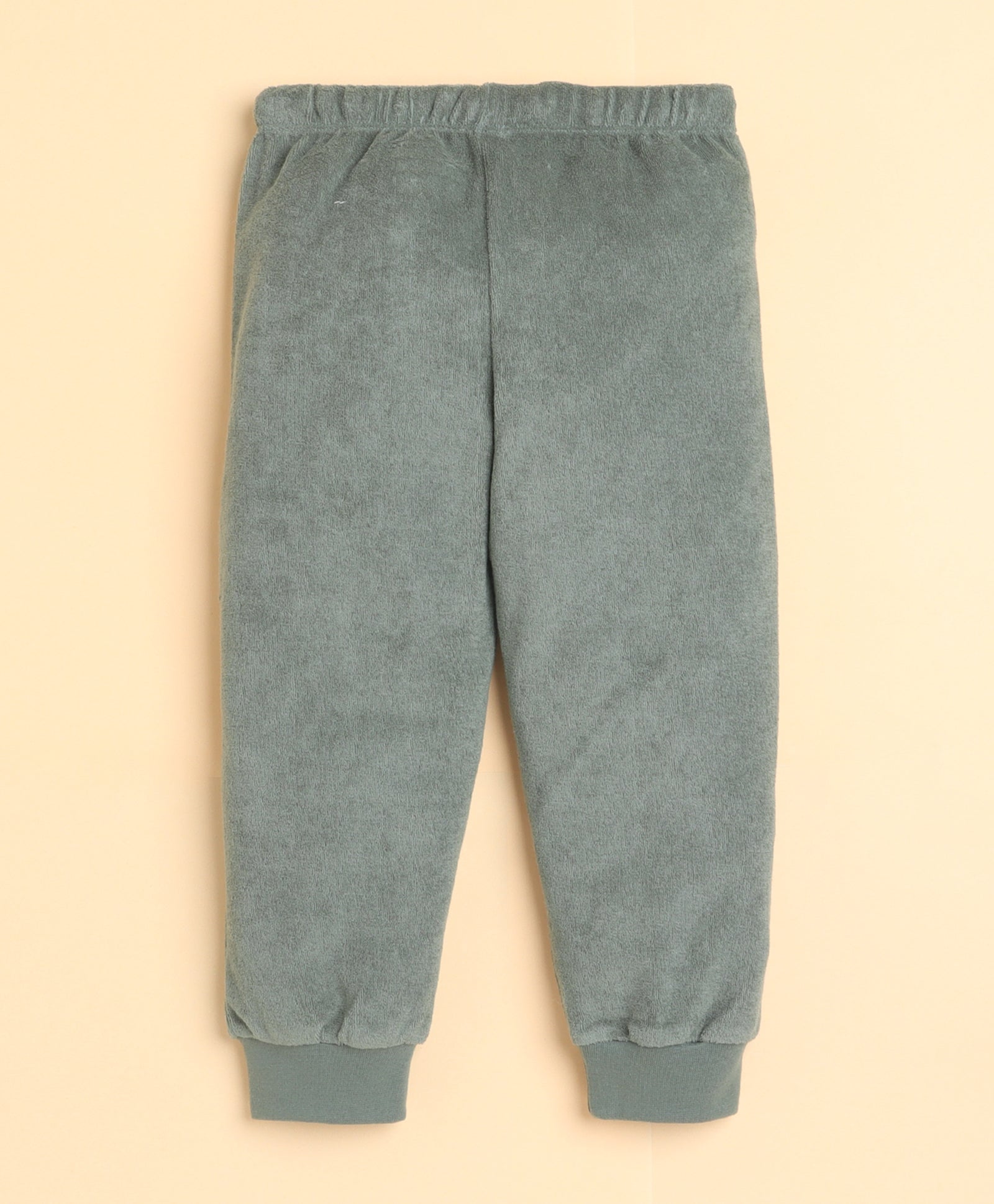 Green Boys Full Sleeves Sweatshirt & Jogger Set