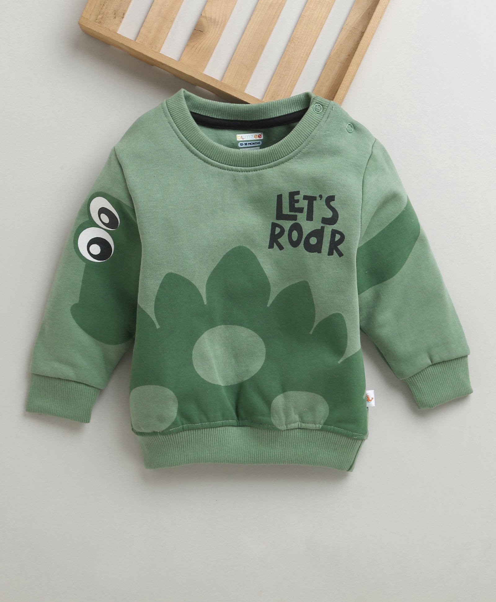 Boys Green Full Sleeves Round Neck Sweatshirt