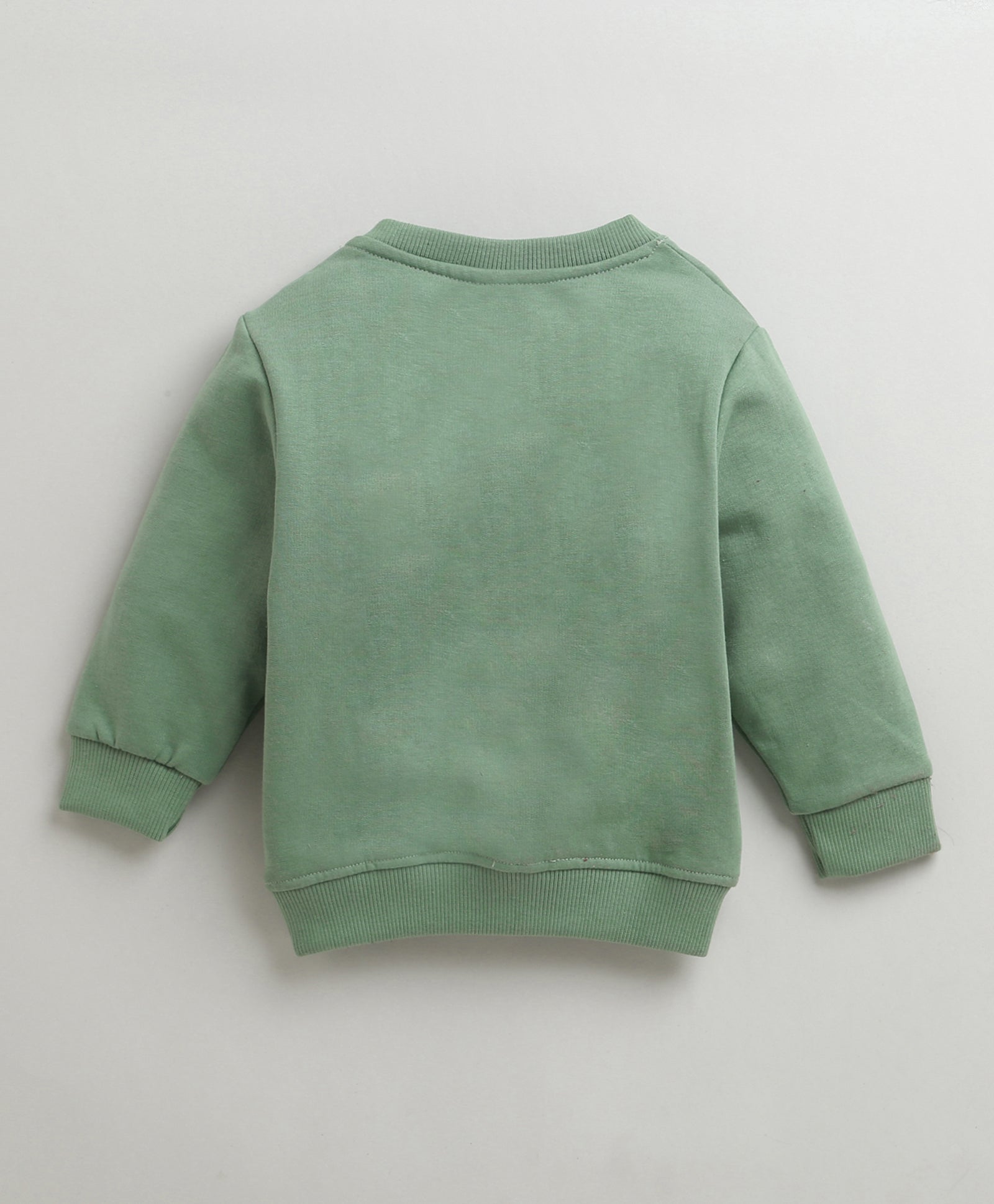 Boys Green Full Sleeves Round Neck Sweatshirt