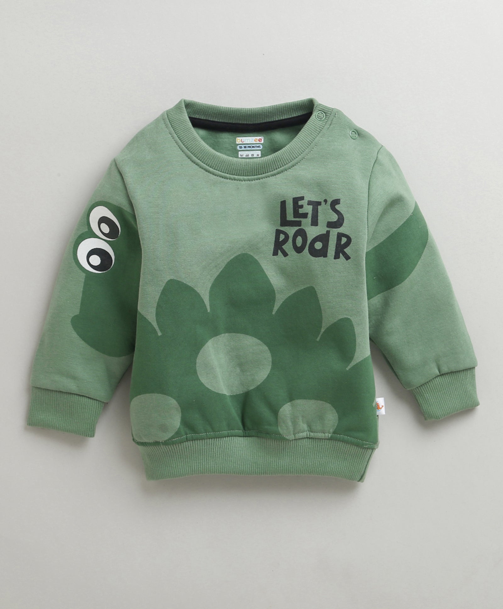 Boys Green Full Sleeves Round Neck Sweatshirt