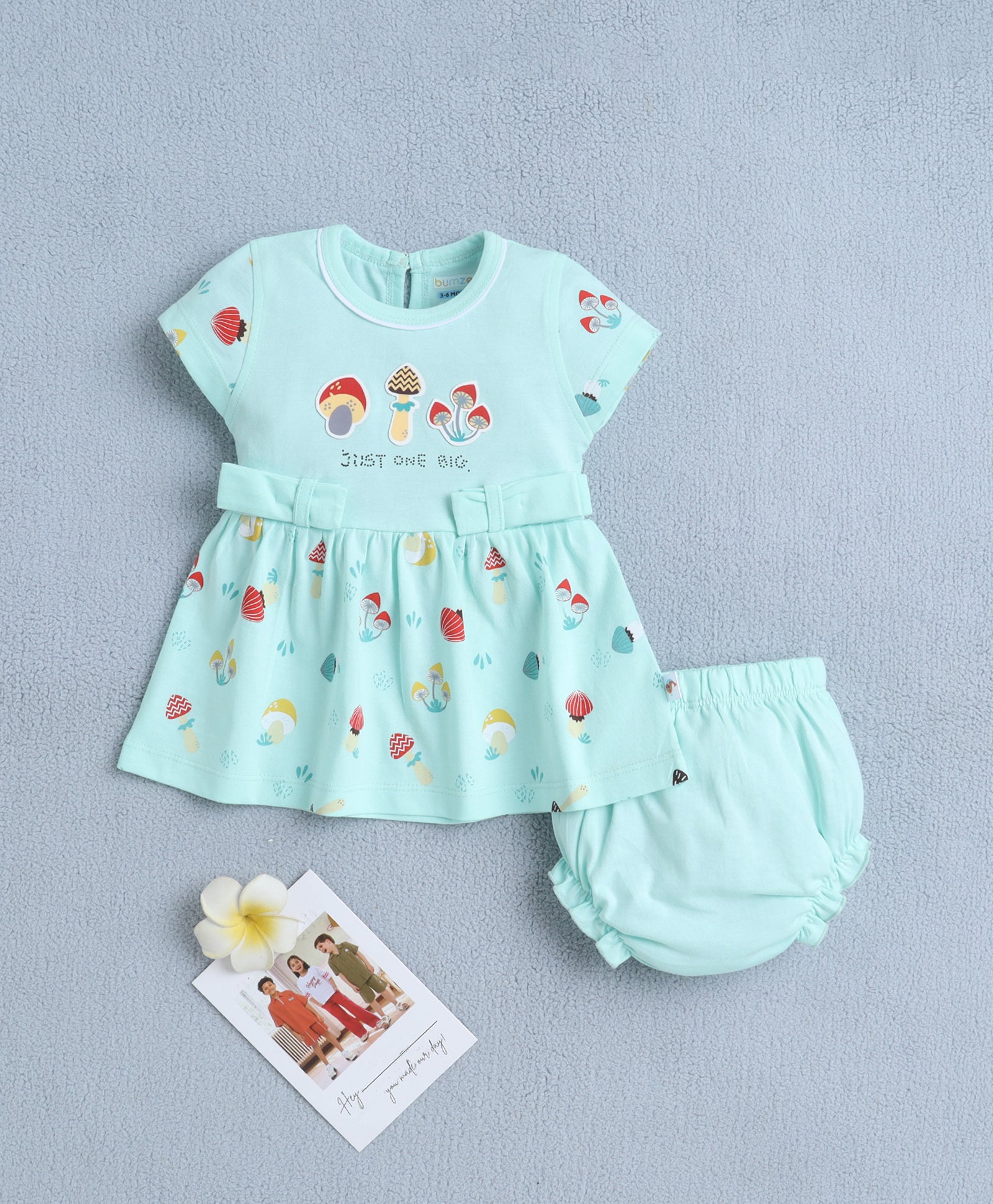 Mint Green Girls Cap Sleeves Frock With Panty
