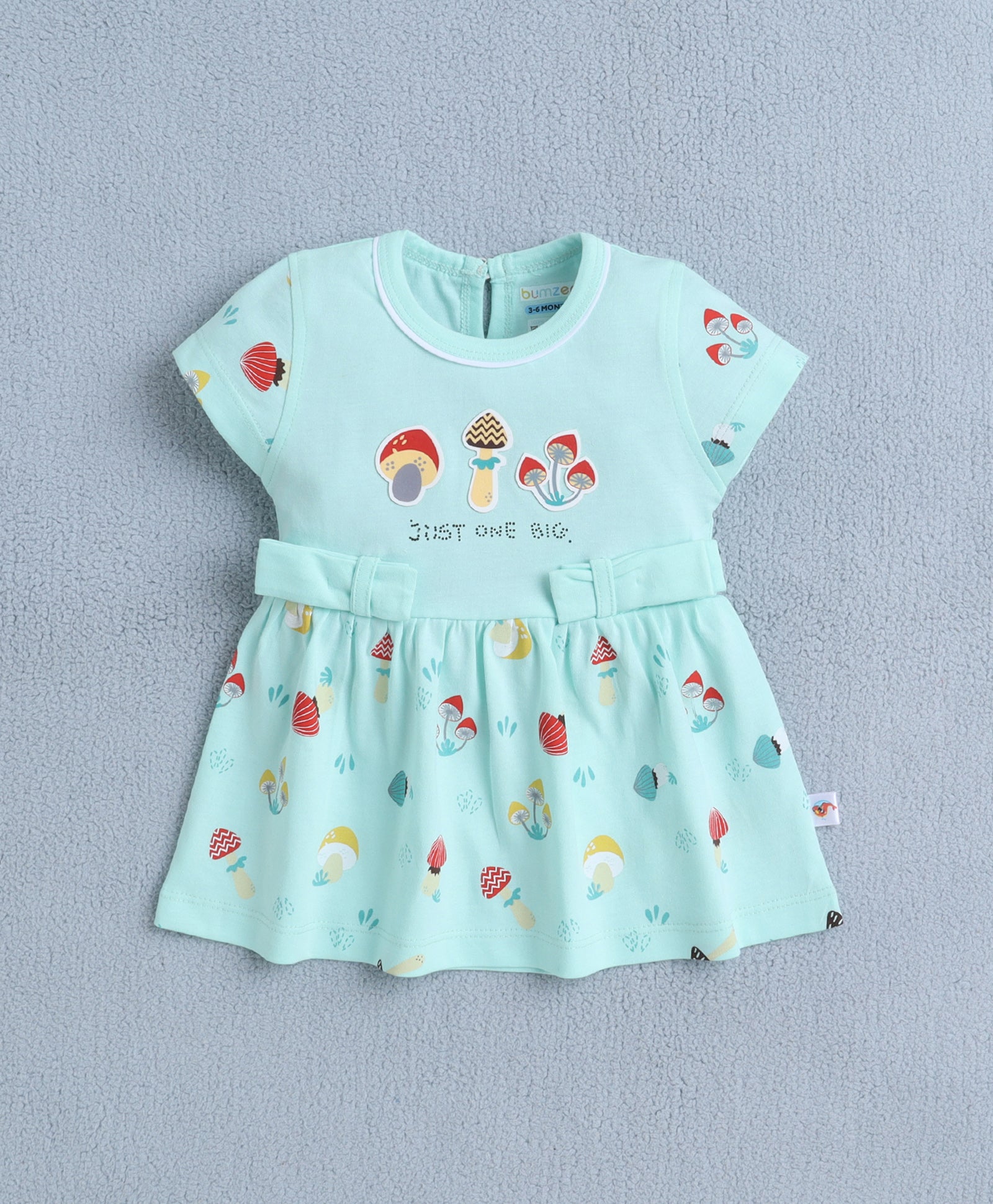 Mint Green Girls Cap Sleeves Frock With Panty