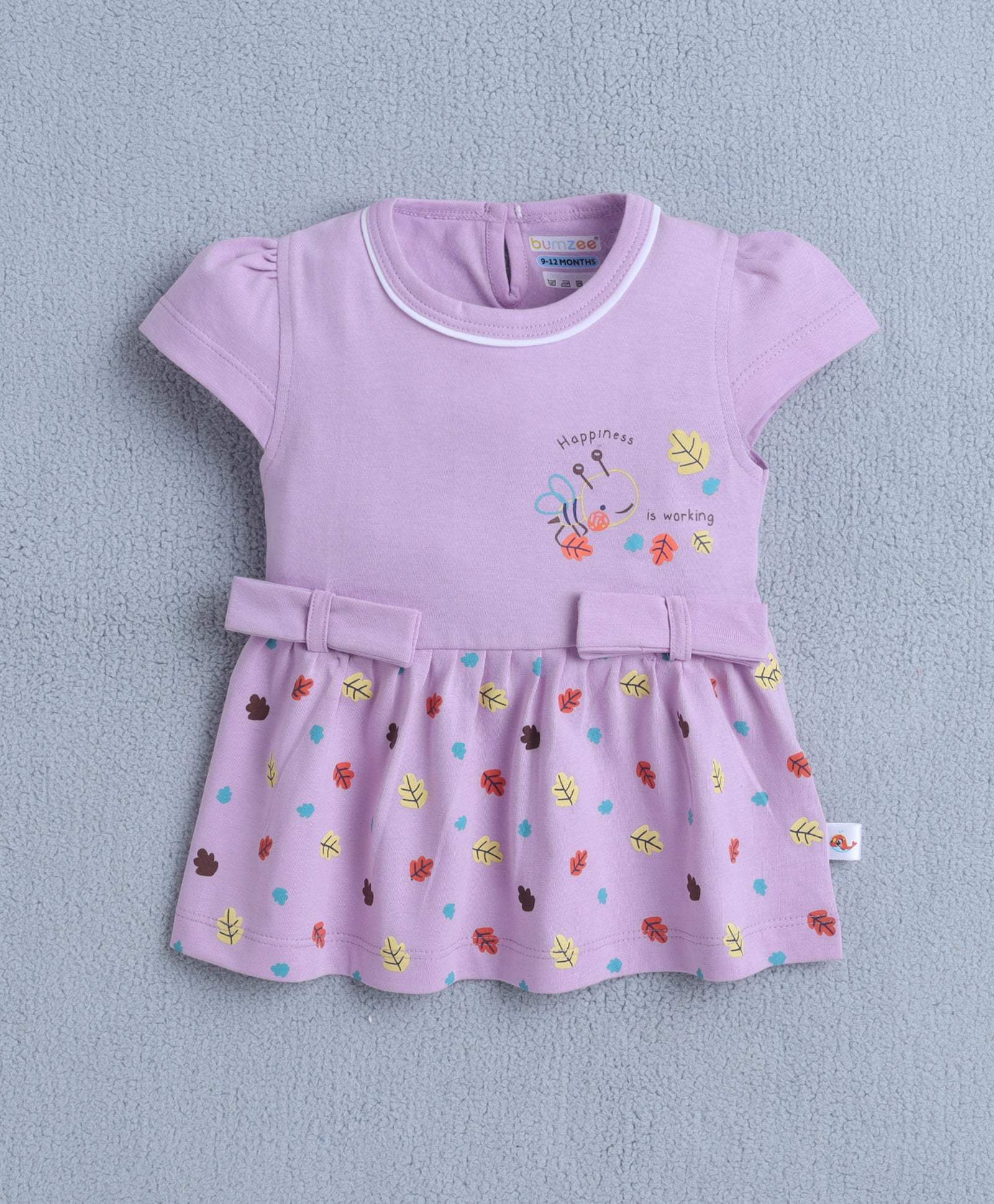 Lilac Girls Cap Sleeves Frock With Panty