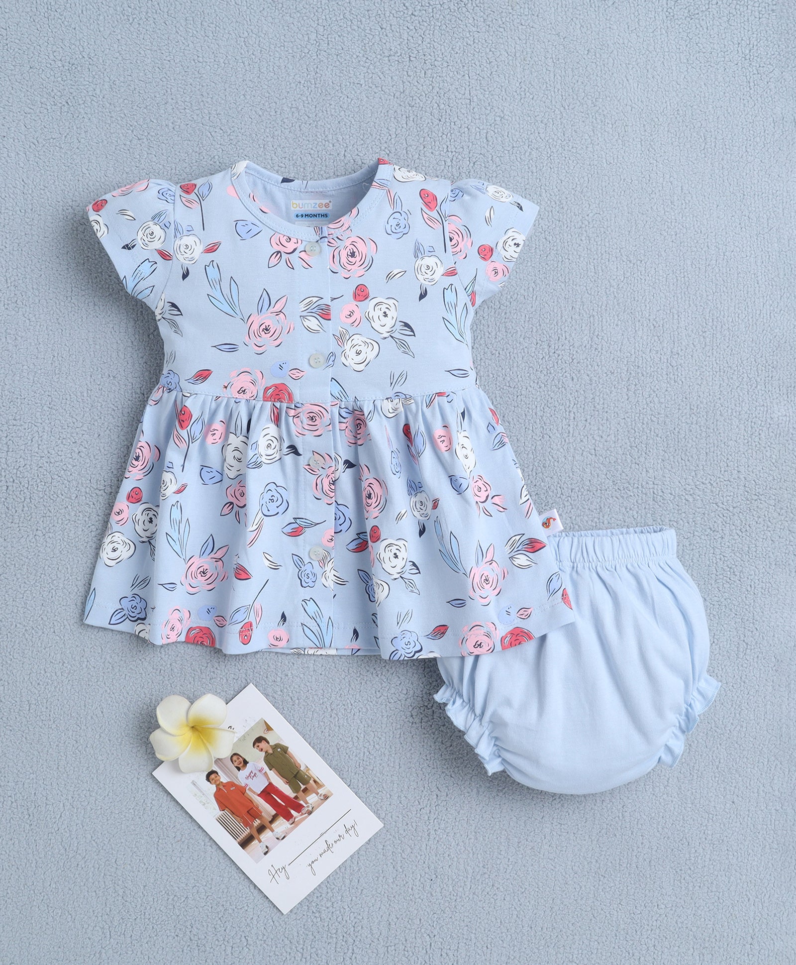 Sky Blue Girls Cap Sleeves Frock With Panty