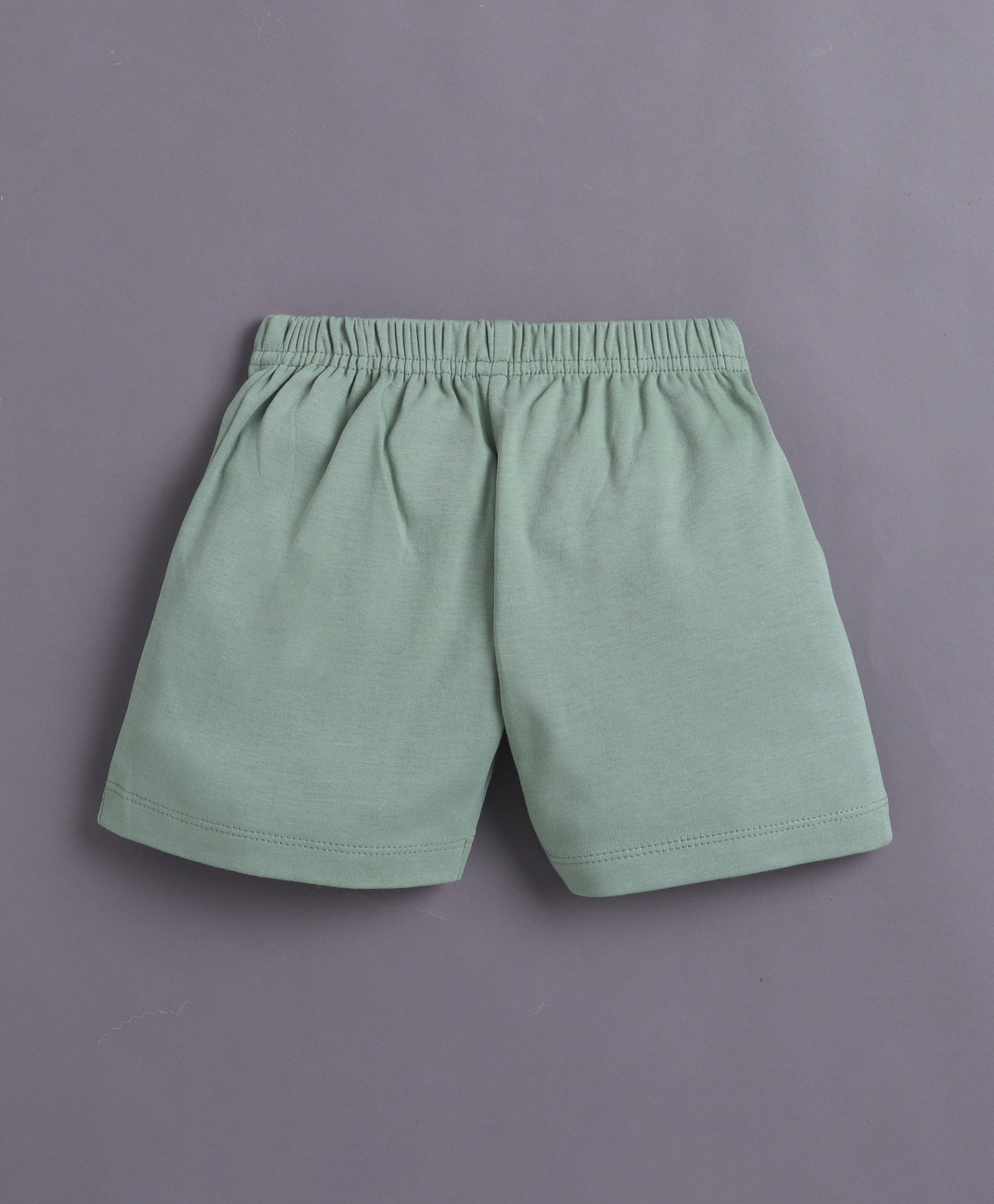 BUMZEE Green & Beige Boys Half Sleeves T-shirt & Short Set