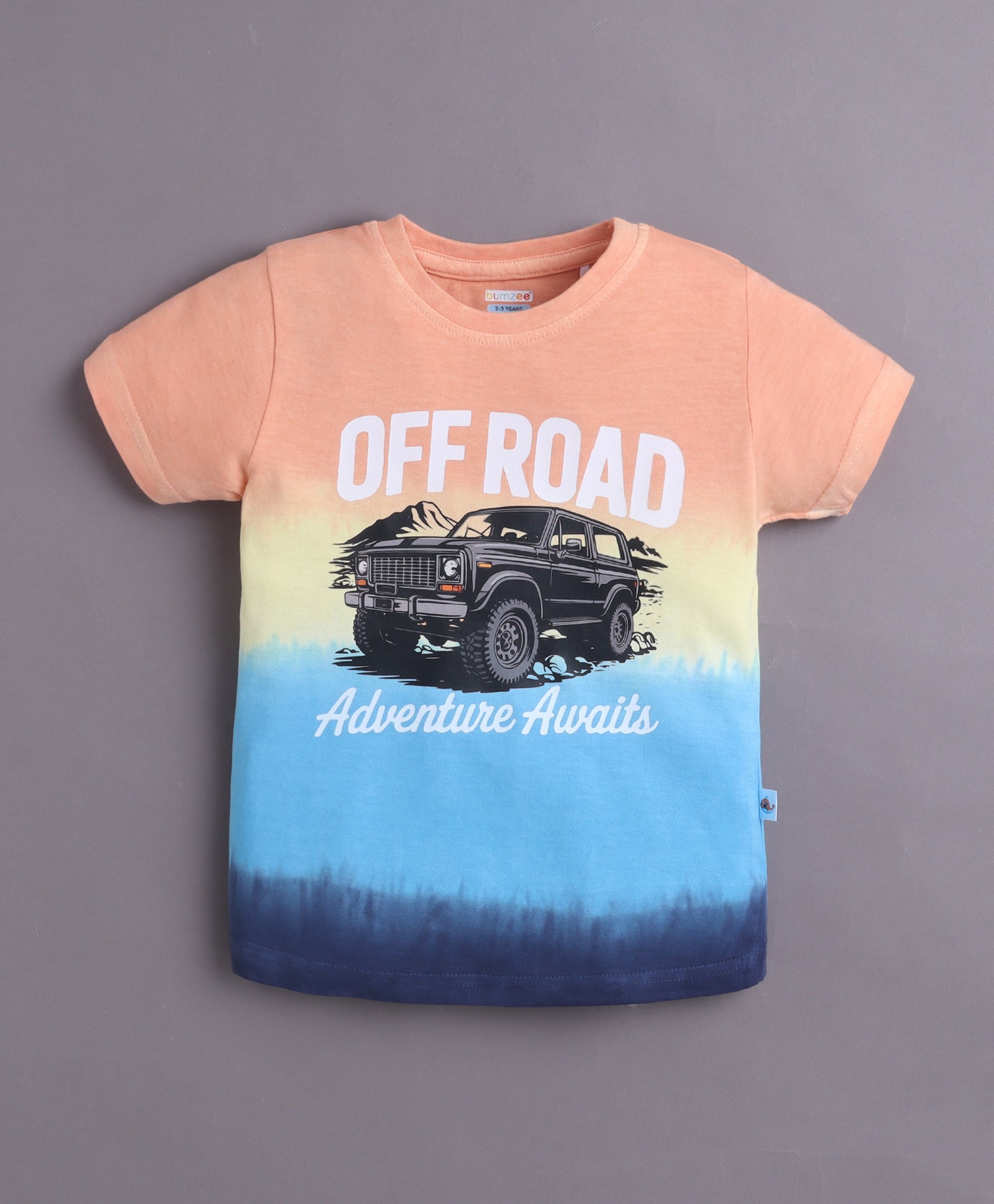 BUMZEE Multi & Navy Boys Half Sleeves T-Shirt & Short Set