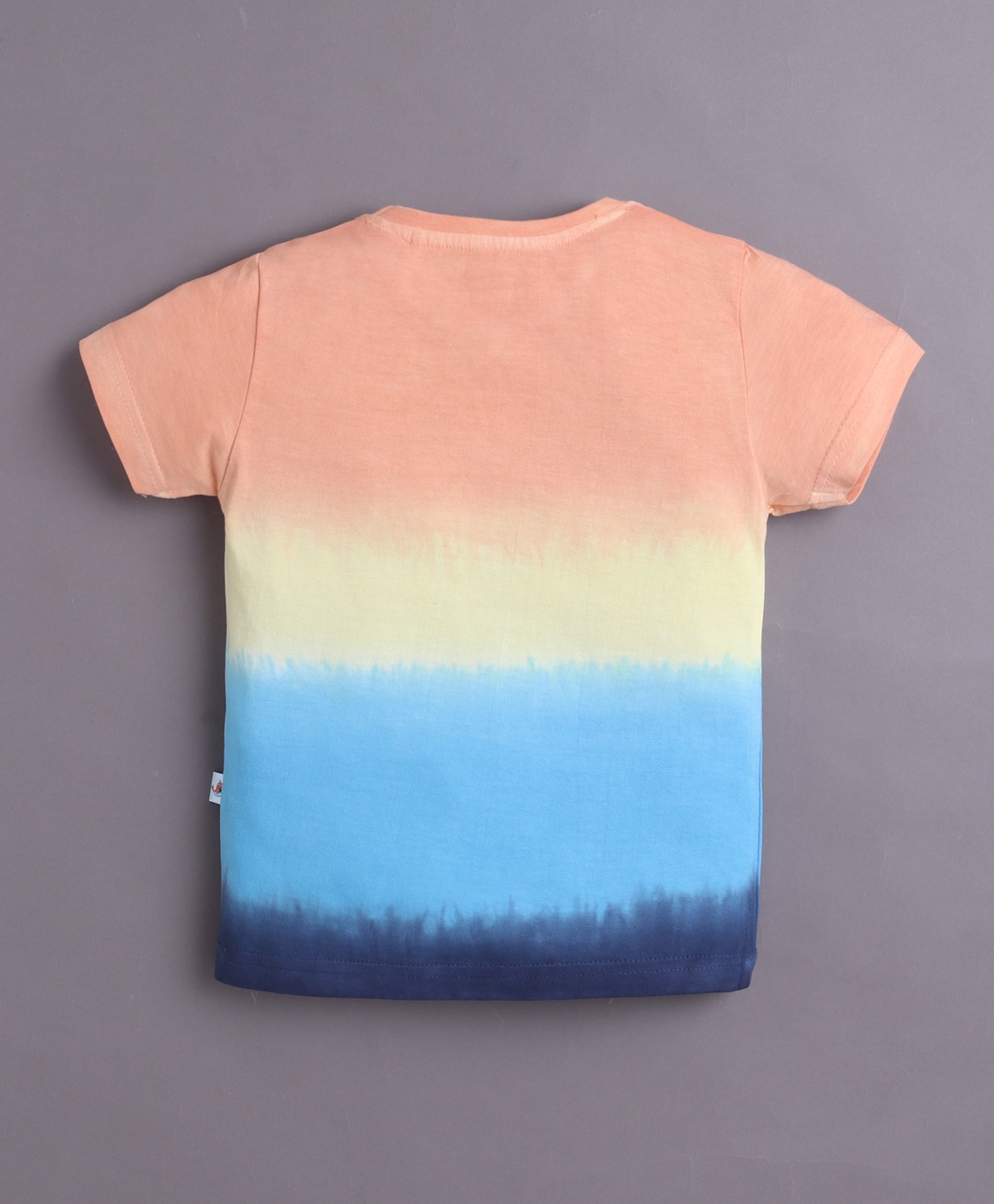 BUMZEE Multi & Navy Boys Half Sleeves T-Shirt & Short Set