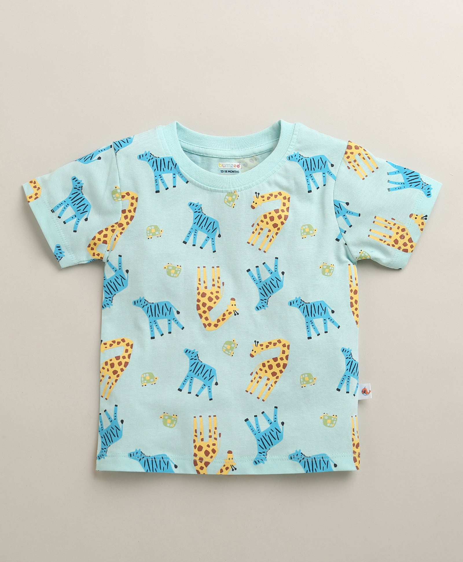 BUMZEE Green & Mint Green Boys Half Sleeves Cotton T-Shirts Pack Of 2