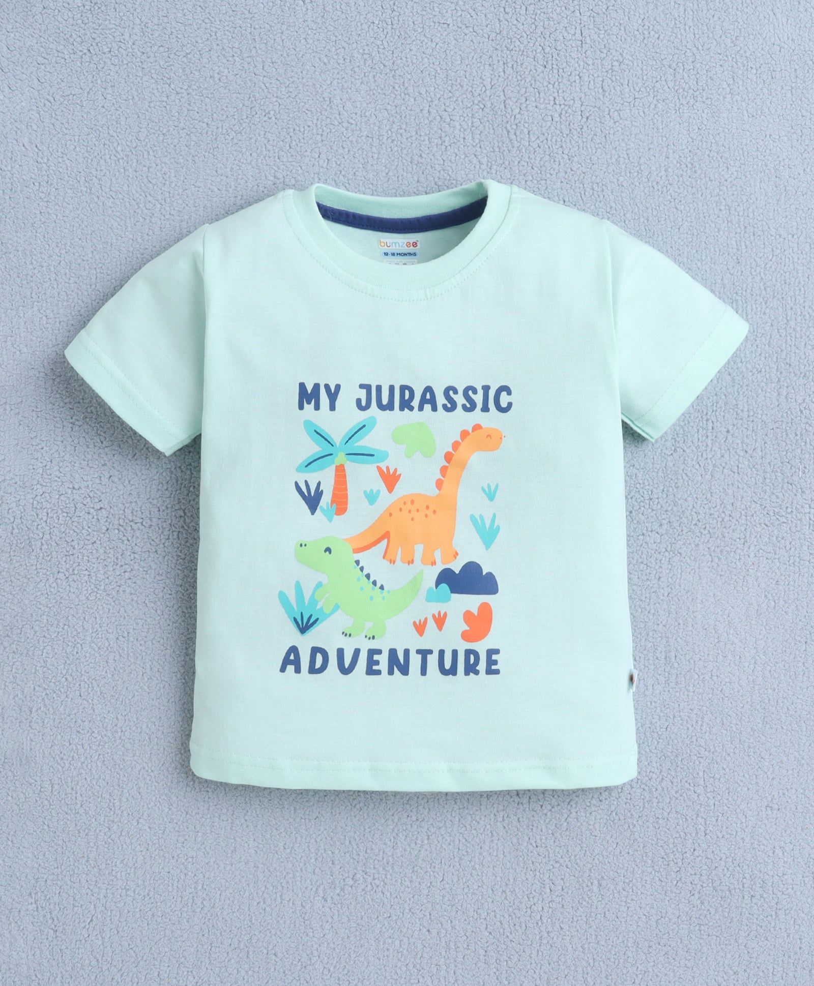 BUMZEE Mint & Navy Boys Half Sleeves T-Shirt & Short Set