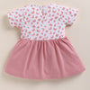 Pink & Off White Girls Half Sleeves Frock / Dress