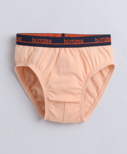 Blue & Green Boys Compact Cotton Briefs Pack of 3