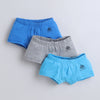 Blue & Grey Boys Compact Cotton Trunks Pack of 3
