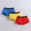 Red & Yellow Boys Compact Cotton Trunks Pack of 3
