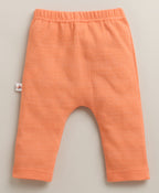 Bumzee Green & Orange Graphic Print Diaper Pants, Pack of 3, 100% Cotton