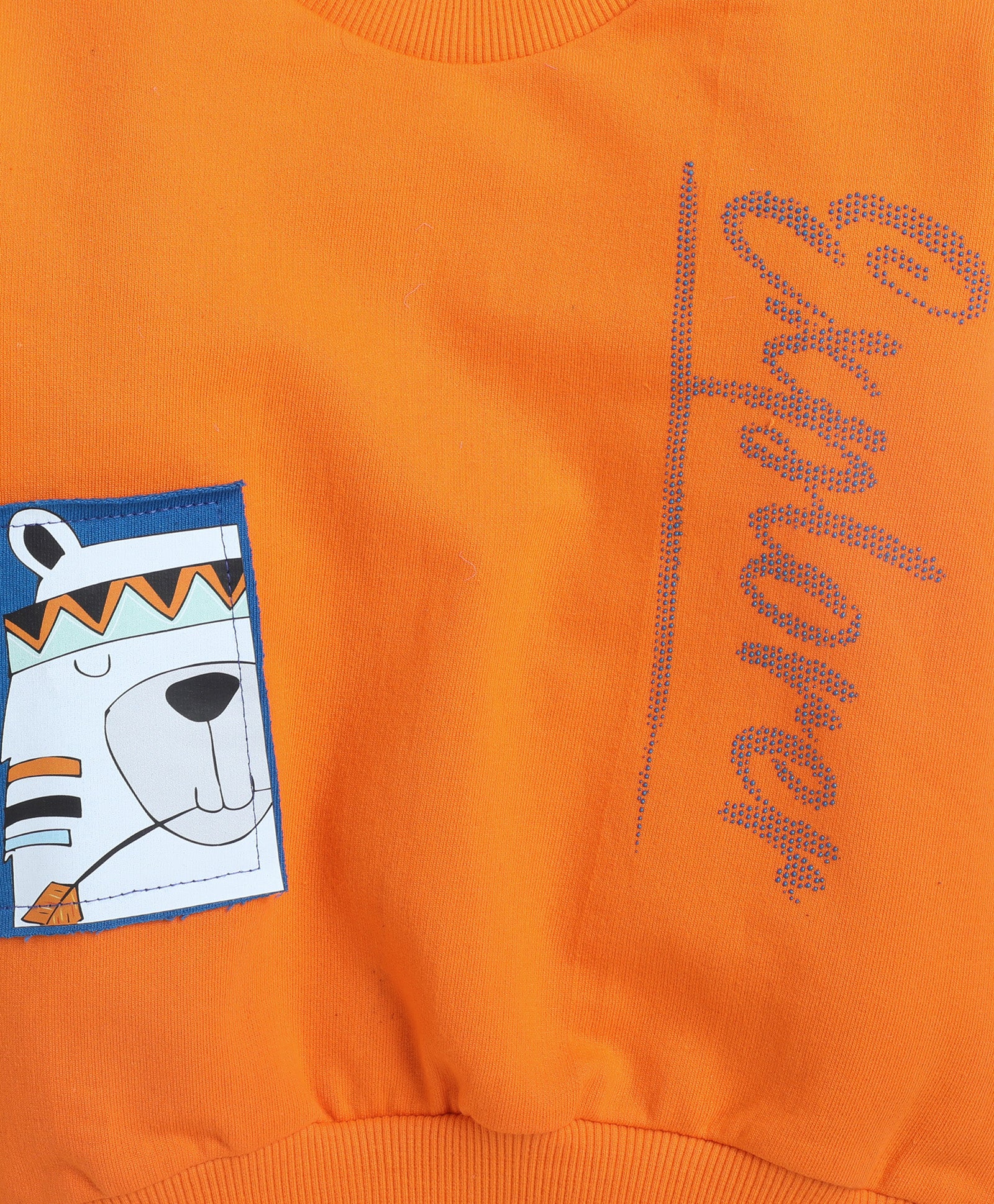 Boys 100% Cotton NA Sweatshirt - Orange